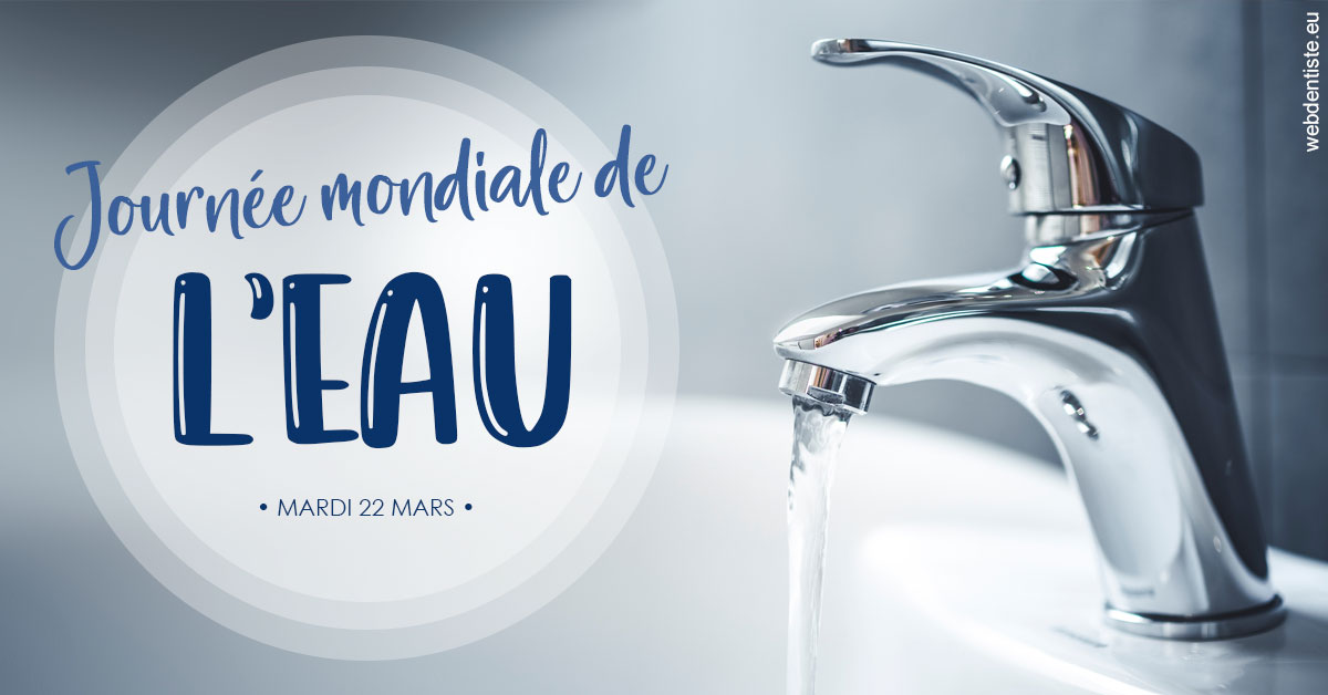 https://www.cabinetcipriani.fr/La journée de l'eau 2
