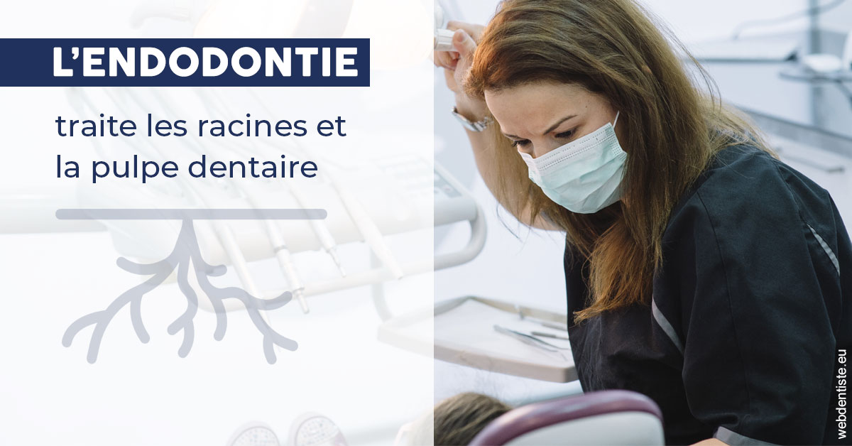 https://www.cabinetcipriani.fr/L'endodontie 1