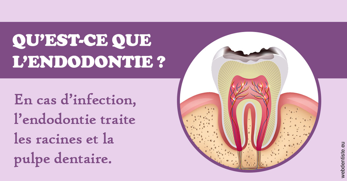 https://www.cabinetcipriani.fr/2024 T1 - Endodontie 02
