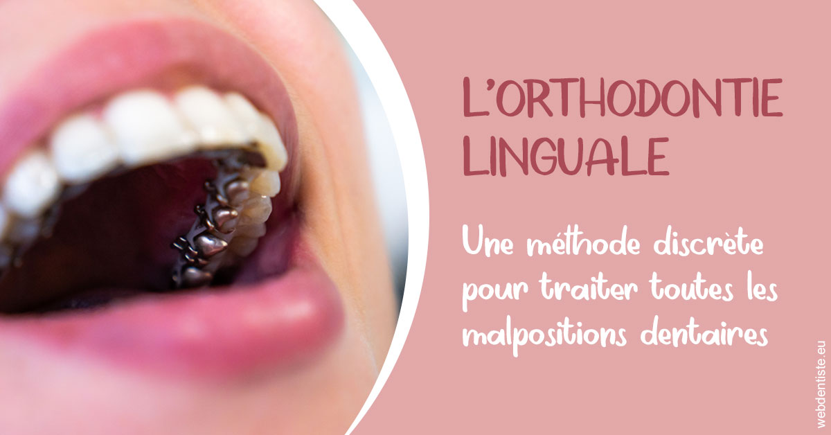 https://www.cabinetcipriani.fr/L'orthodontie linguale 2