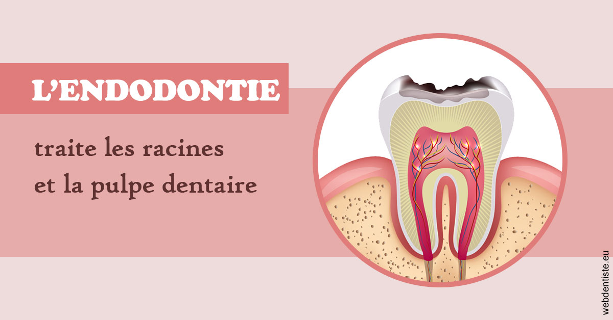 https://www.cabinetcipriani.fr/L'endodontie 2