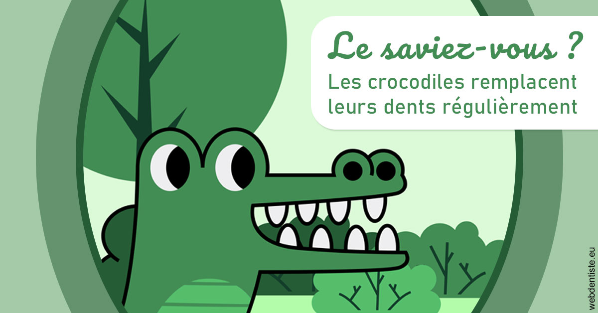 https://www.cabinetcipriani.fr/Crocodiles 2