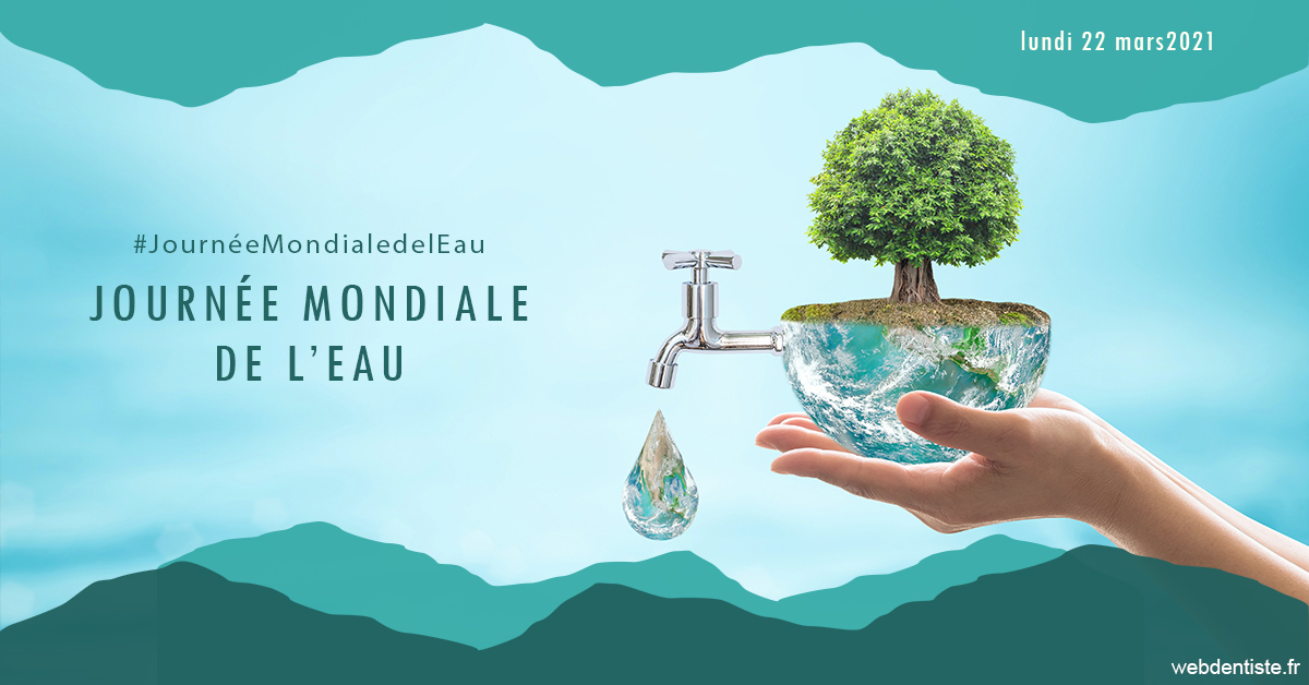 https://www.cabinetcipriani.fr/Journée de l'eau 1