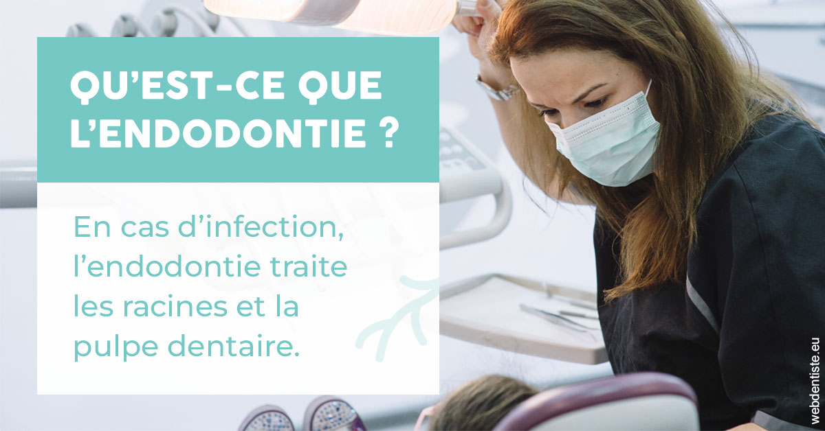 https://www.cabinetcipriani.fr/2024 T1 - Endodontie 01