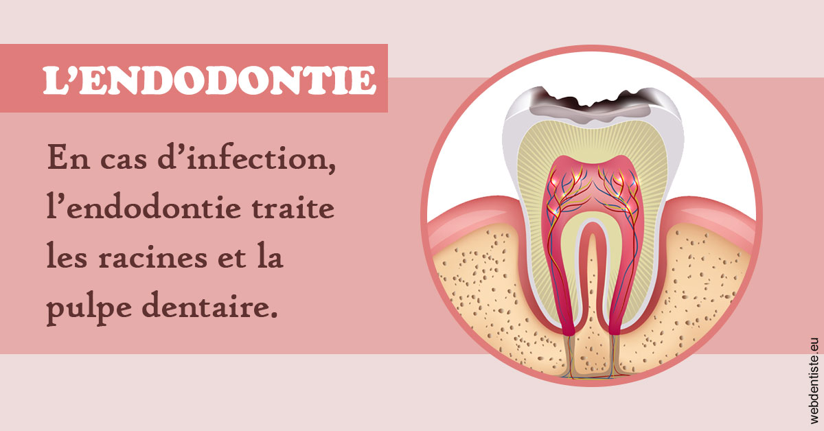 https://www.cabinetcipriani.fr/L'endodontie 2